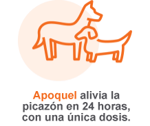 Símbolo de dos perros sobre Apoquel alivia el picazón