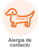 Diseño de un perro con alergia